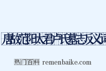 唐故范阳太君卢氏墓志反义词是什么意思的图片
